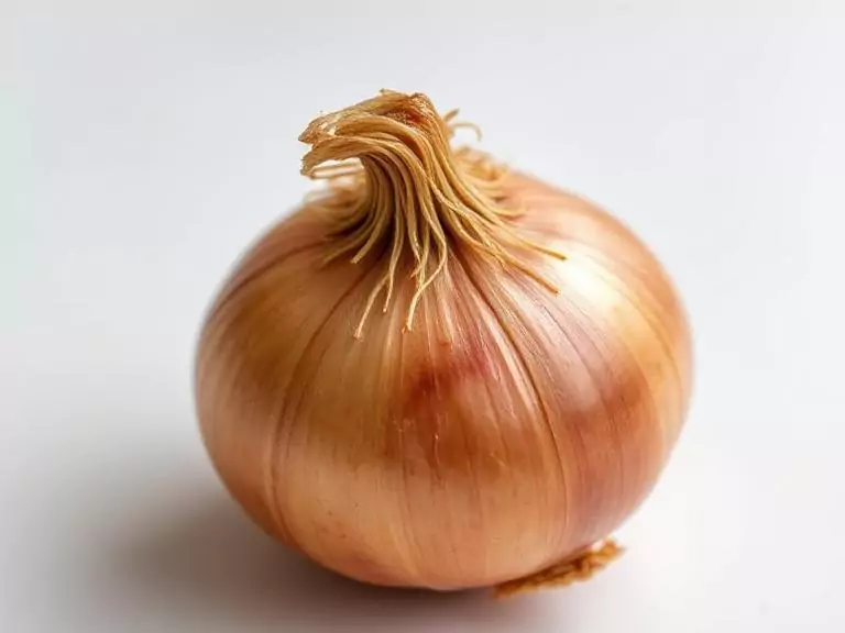 Onion